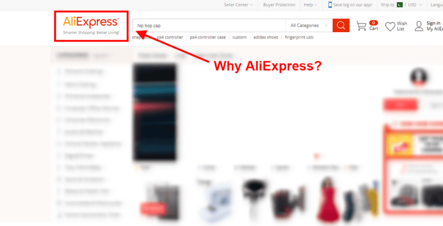 why aliexpress dropshipping?