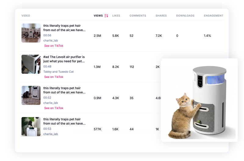 Identify TikTok Content Driving Ecommerce Conversions