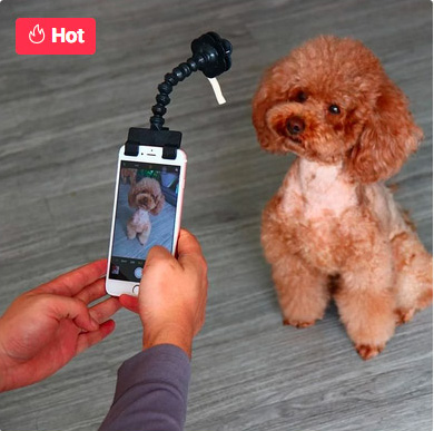 Pet Selfie Stick Dropshipping product