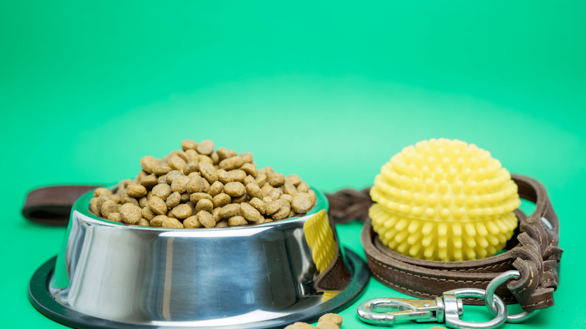 Dropshipping de produits pour animaux de compagnie