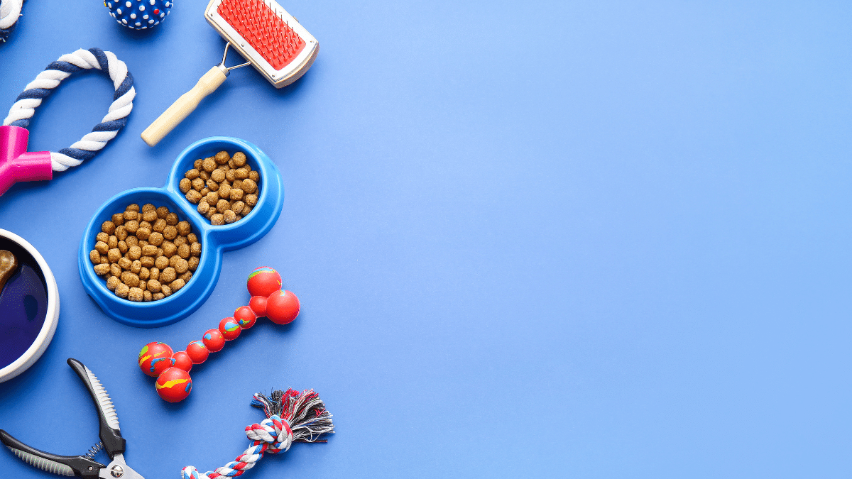 Identifiez les produits pour animaux de compagnie Dropshipping tendance