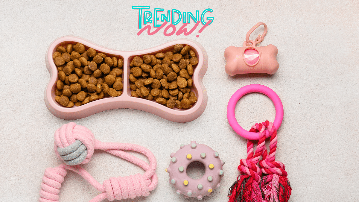 Produits pour animaux de compagnie les plus vendus