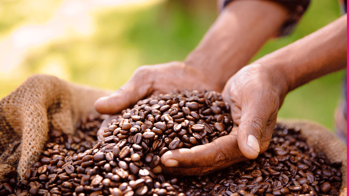 Wie wählt man einen Kaffee-Dropshipping-Lieferanten aus?