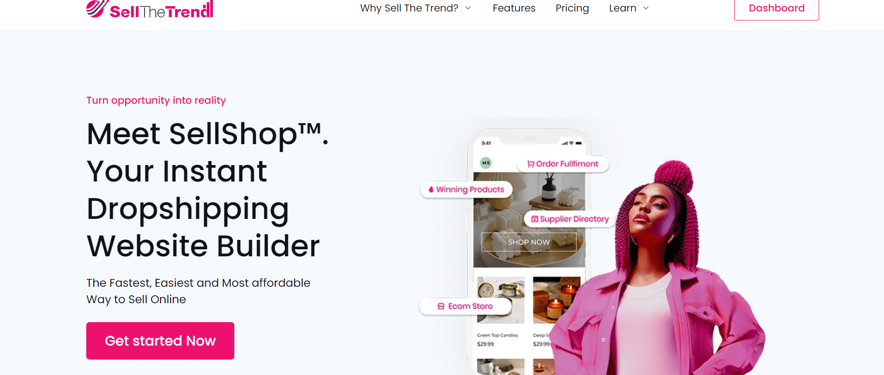 Plan de negocios de dropshipping de SellShops