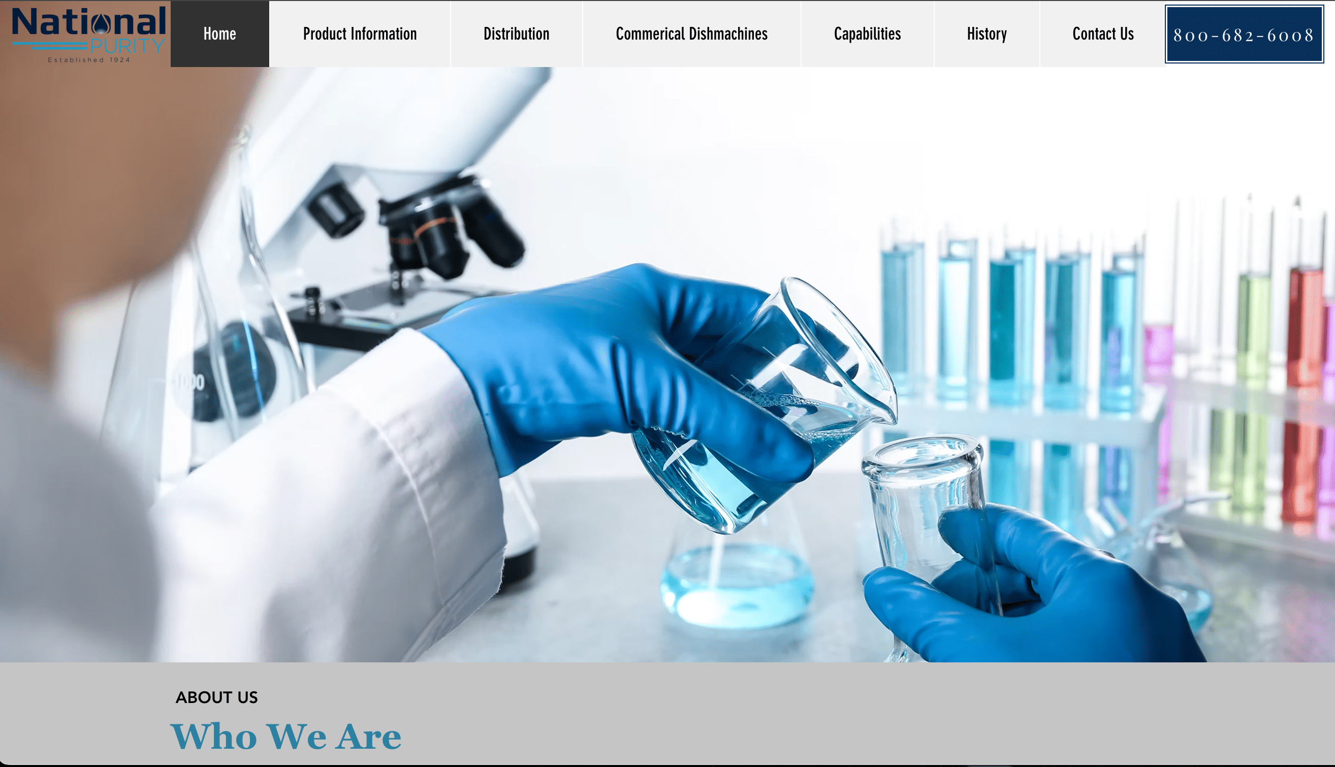 National Purity est parfait pour les boutiques en ligne ciblant les propriétaires