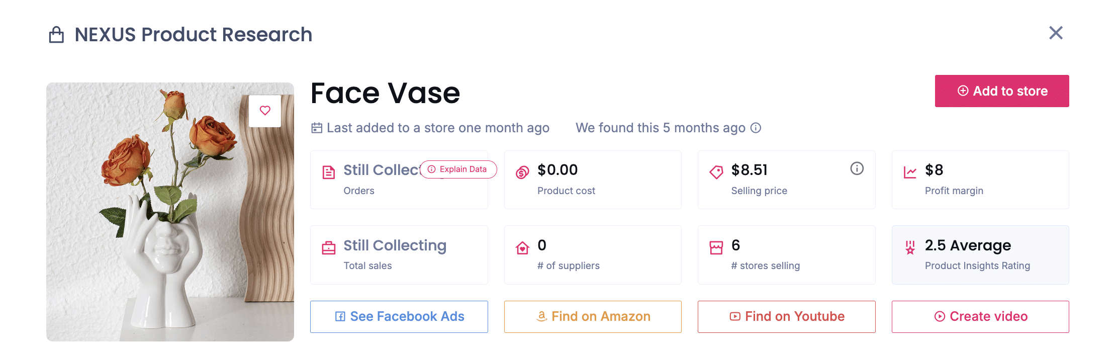 Keramik-Gesichtsvasen