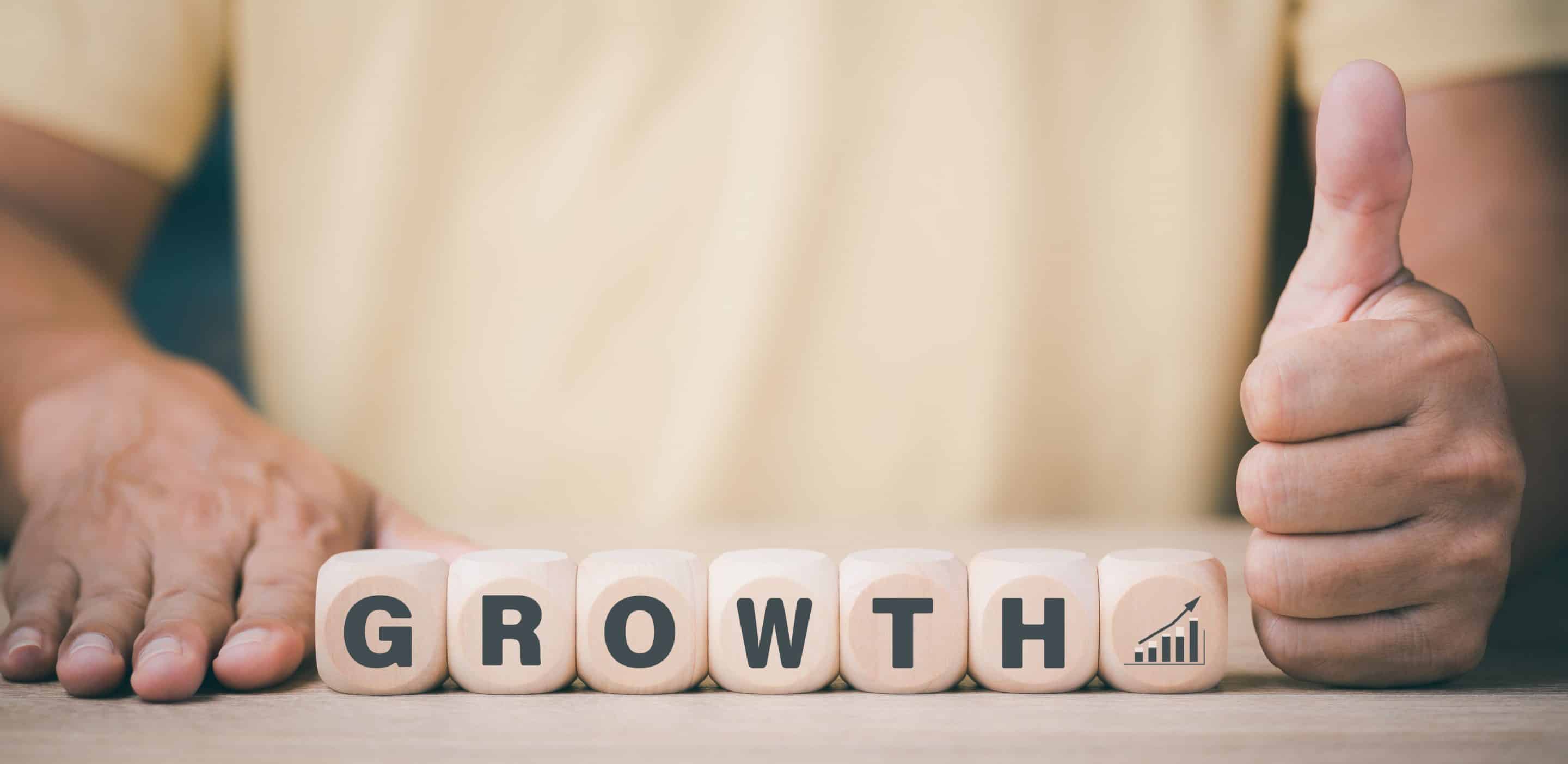 Dropshipping business model