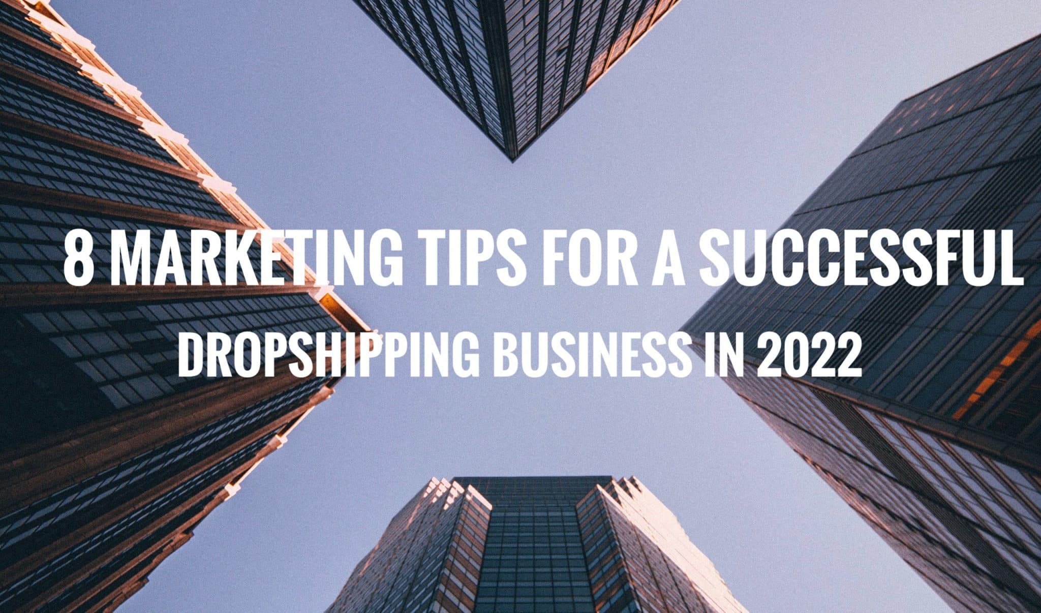 8 Marketing Tips for a Successful Dropshipping Business in 2022